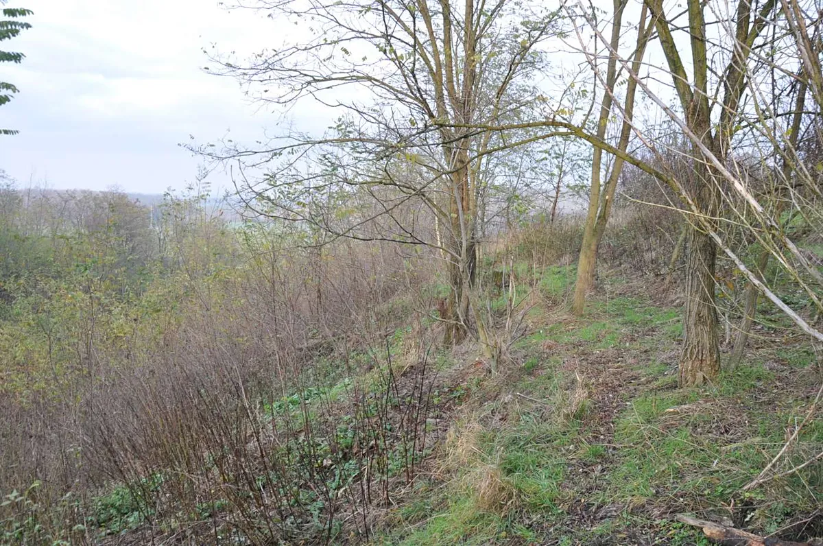 Fotka 3 z 15